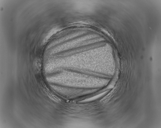 X0000087061355200705091150