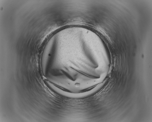 X0000087061356200705091150