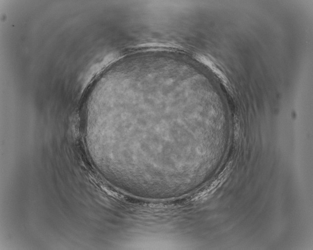 X0000087061357200705091150