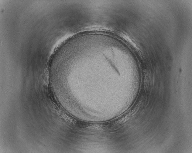 X0000087061358200705091150