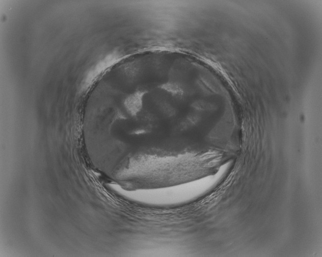 X0000087061359200705091150