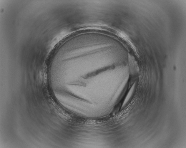 X0000087061360200705091150