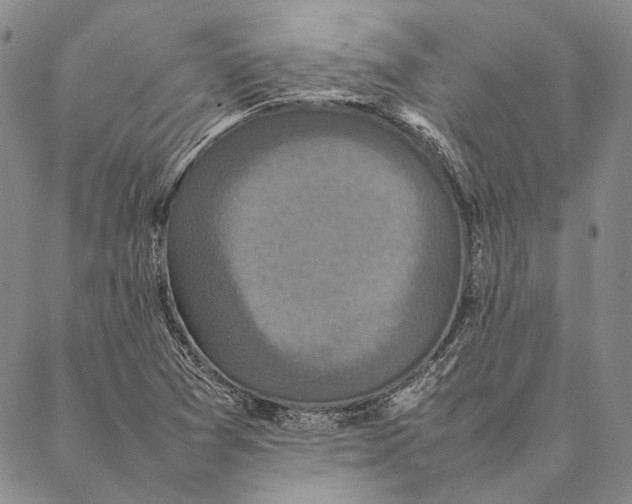 X0000087061361200705091150