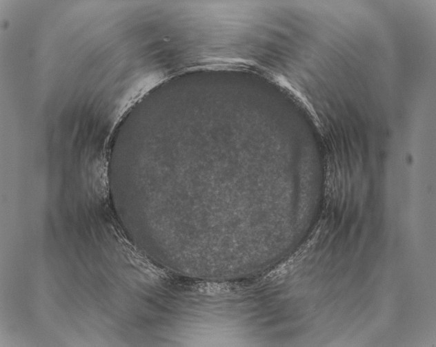 X0000087061362200705091150