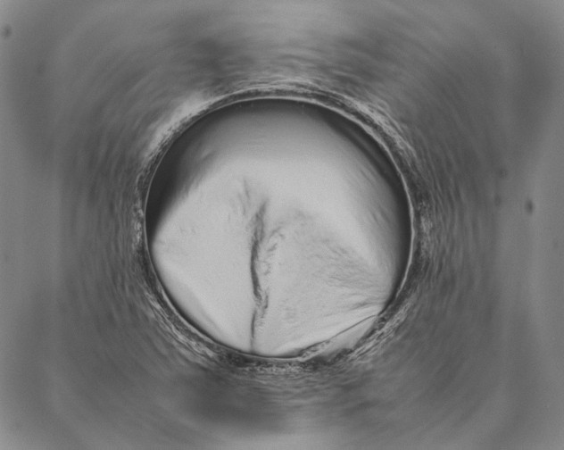 X0000087061363200705091150