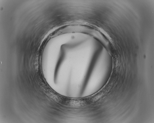 X0000087061364200705091150