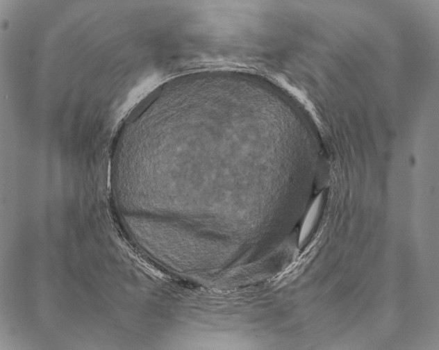 X0000087061365200705091150