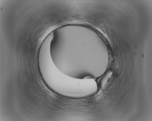 X0000087061367200705091150