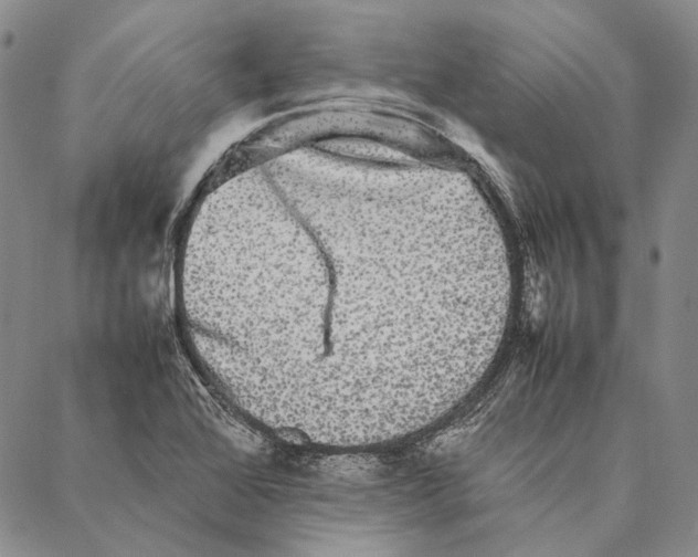 X0000087061368200705091150