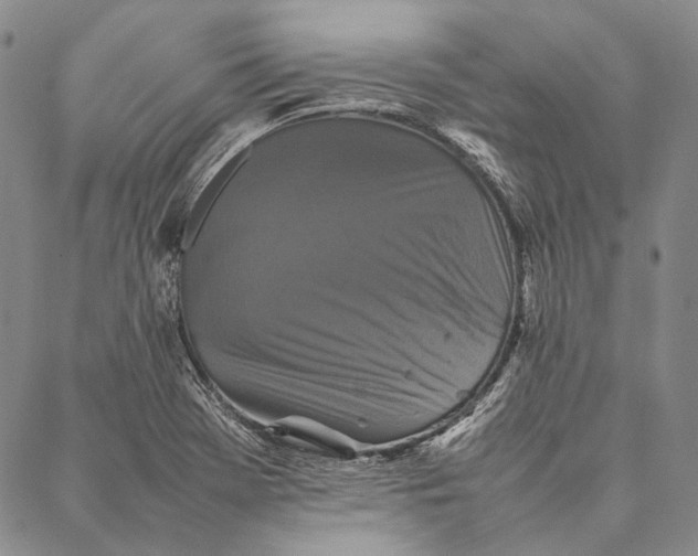 X0000087061369200705091150