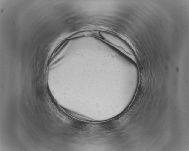 X0000087061371200705091150