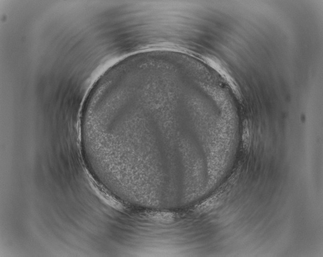 X0000087061372200705091150