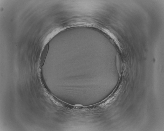 X0000087061373200705091150