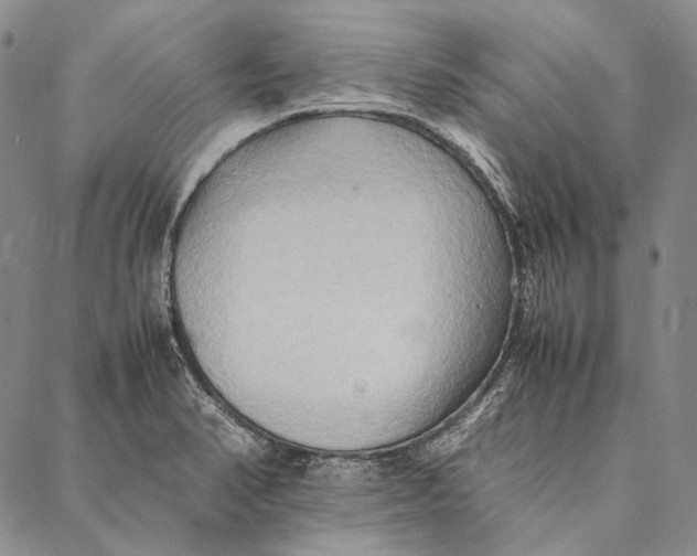 X0000087061374200705091150