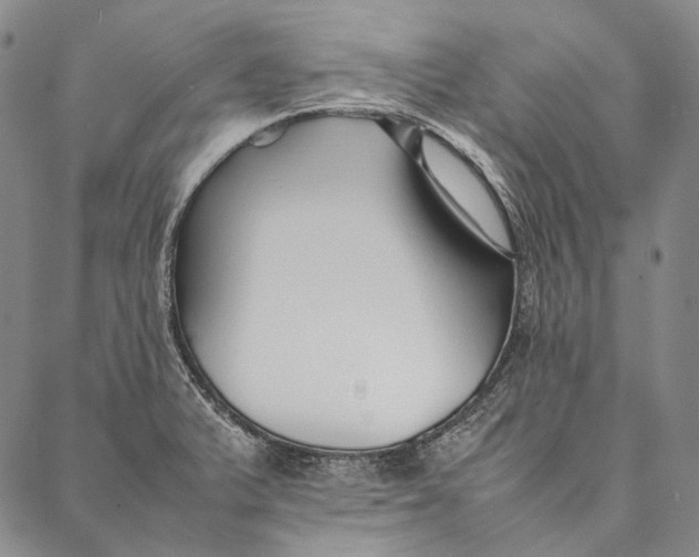 X0000087061375200705091150