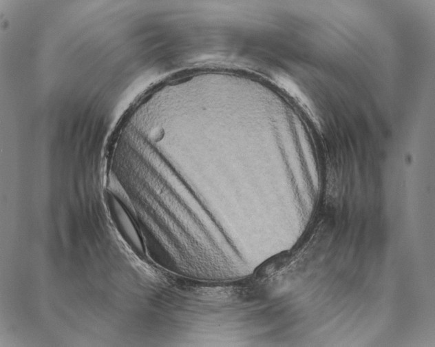 X0000087061376200705091150