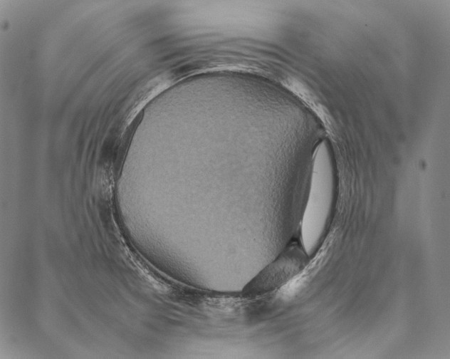 X0000087061377200705091150