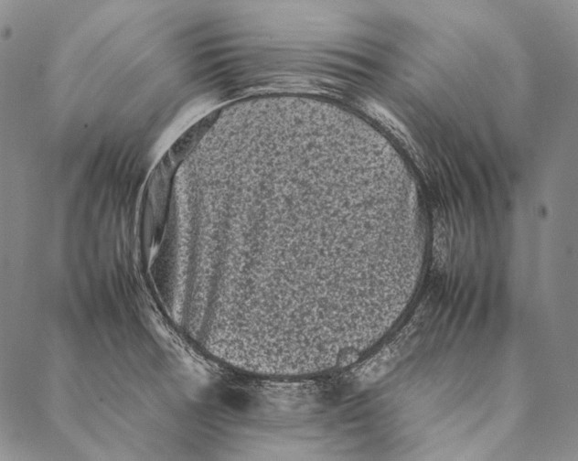 X0000087061378200705091150