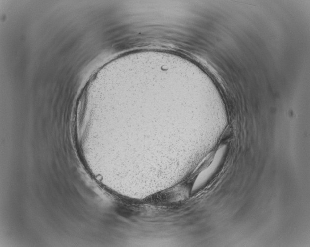 X0000087061379200705091150