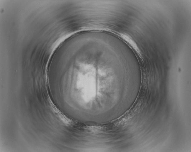 X0000087061380200705091150