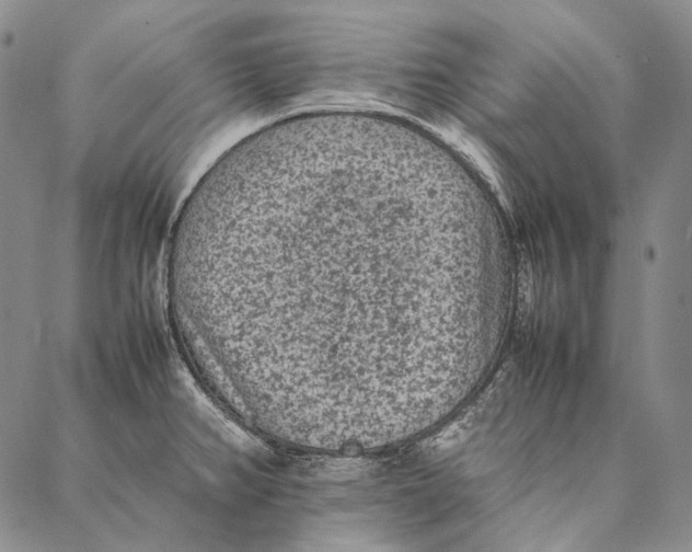 X0000087061382200705091150