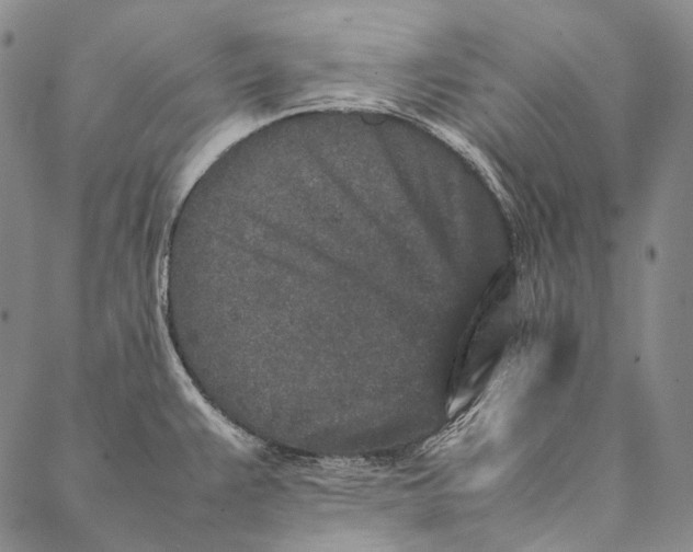 X0000087061383200705091150