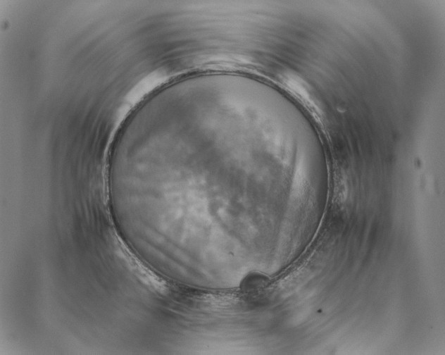 X0000087061384200705091150