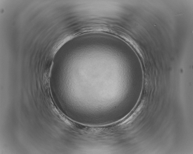 X0000087061385200705091150