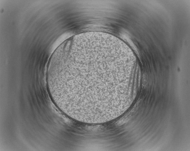 X0000087061386200705091150