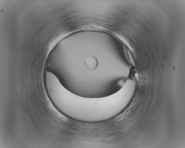 X0000087061387200705091150