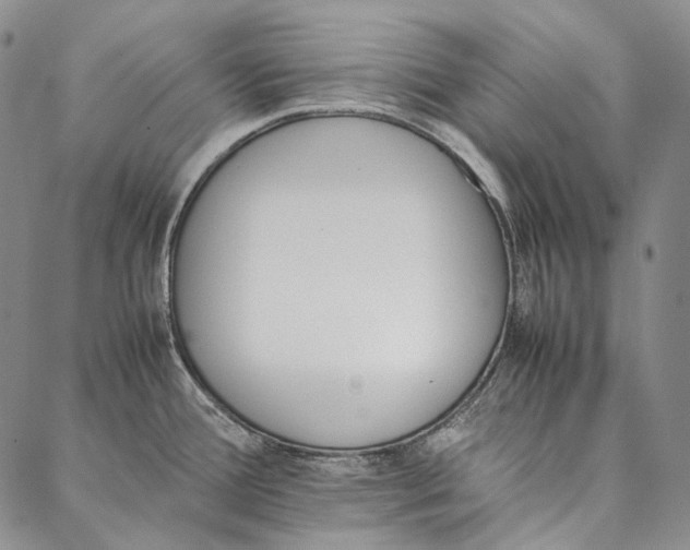 X0000087061388200705091150