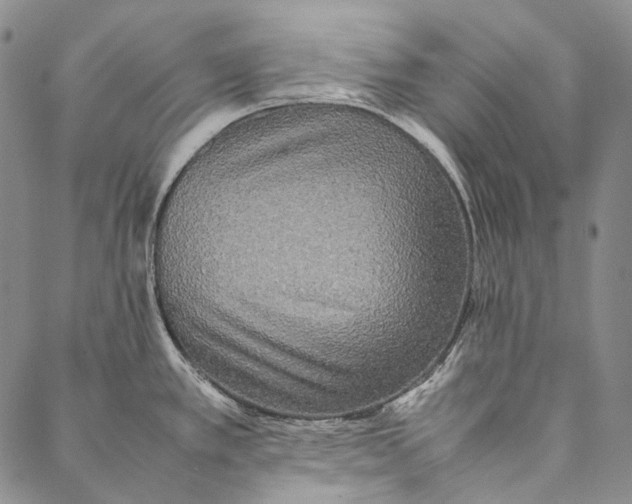 X0000087061389200705091149