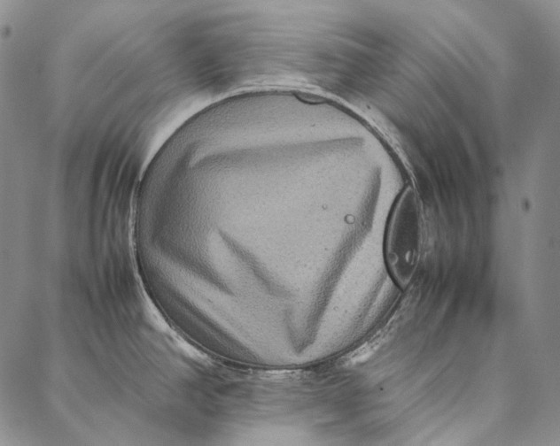 X0000087061390200705091149