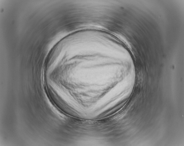 X0000087061391200705091149