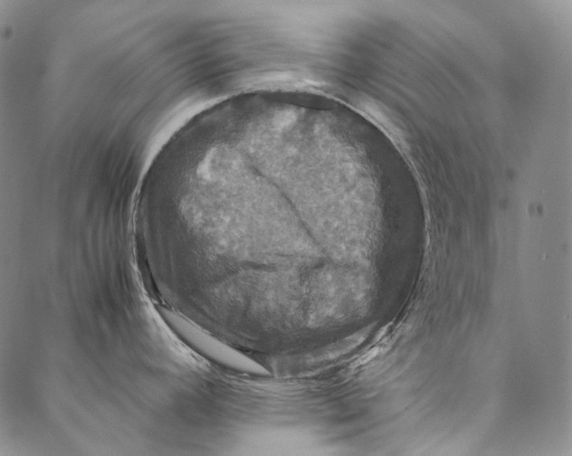 X0000087061392200705091149