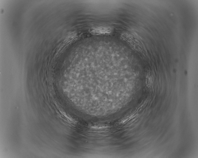 X0000087061393200705091149