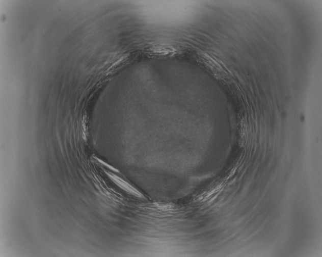 X0000087061394200705091149