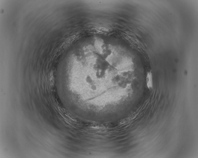 X0000087061395200705091149