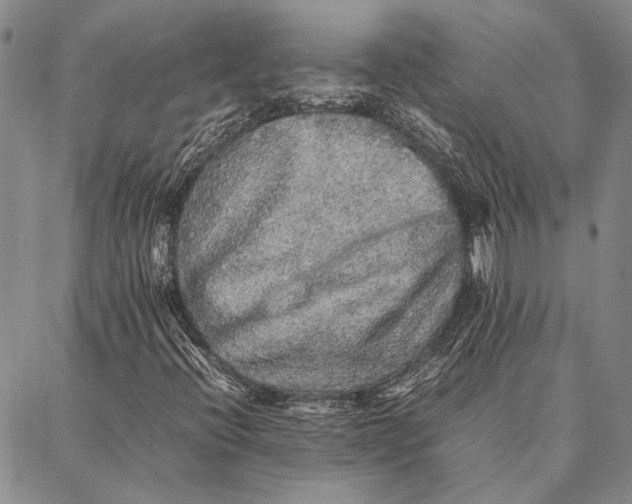 X0000087061396200705091149