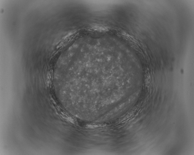 X0000087061397200705091149