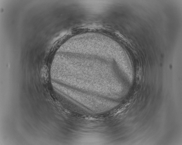 X0000087061398200705091149