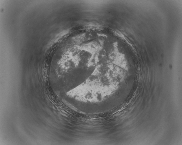 X0000087061399200705091149