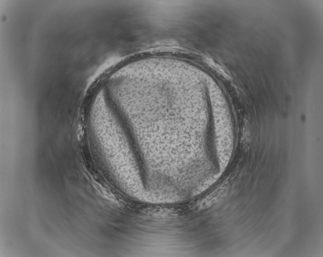 X0000087061400200705091149