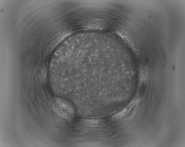 X0000087061401200705091149