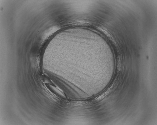 X0000087061402200705091149