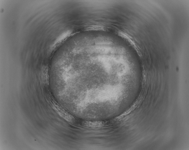 X0000087061403200705091149