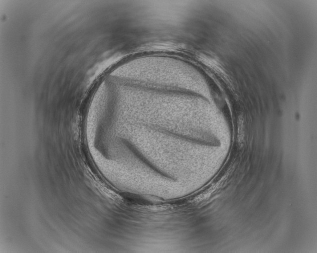 X0000087061404200705091149