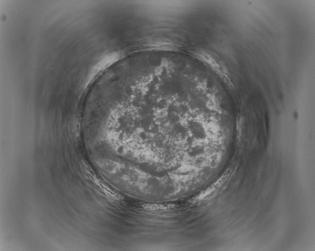 X0000087061405200705091149