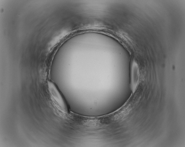 X0000087061406200705091149