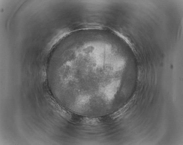 X0000087061407200705091149